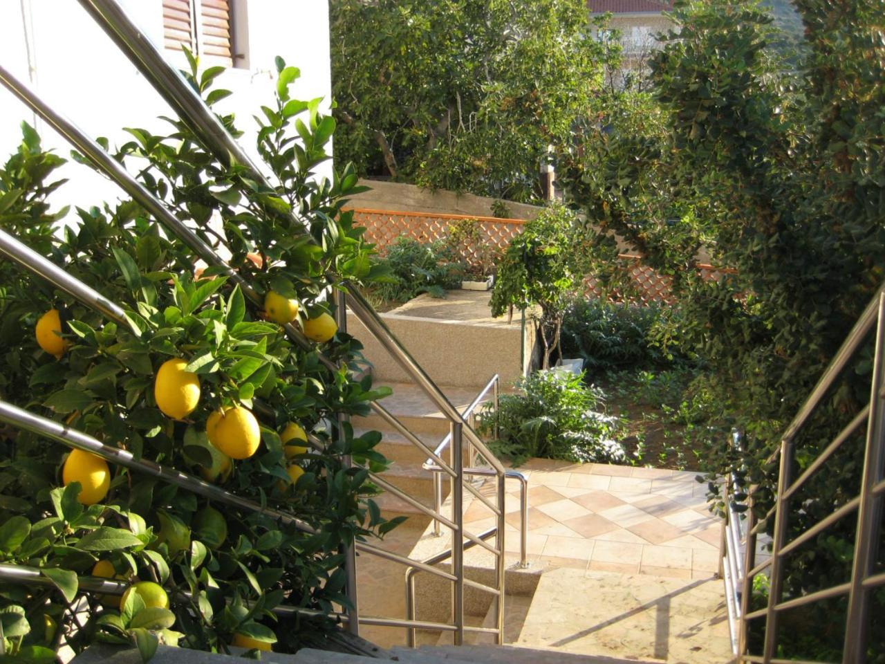 Apartments Martina Primošten المظهر الخارجي الصورة